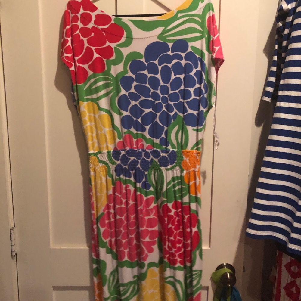 Lilly Pulitzer Floral Dress